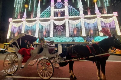 Viva a magia das luzes de natal em nova york com um passeio privativo de charrete. passe pelo rockefeller center, as decorações da 5ª avenida e o central park. inclui cobertores.