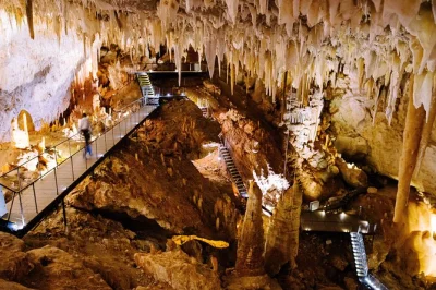 Descubre jewel cave en australia occidental, explora sus cámaras de cristales milenarios y escucha historias fascinantes de la mano de un guía local. tour completo con opción a paseo por el bosque 