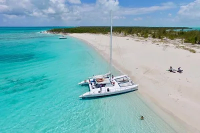 Feel the breeze on a grace bay catamaran cruise with reef snorkeling, beach stop for rock iguanas, and lunch. includes hotel pickup and drinks onboard.