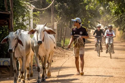 Phnom penh, mekong-inseln, ruhige radwege, seidenfarm besuchen, traditionelles khmer-mittagessen genießen – inklusive fahrrad & guide.