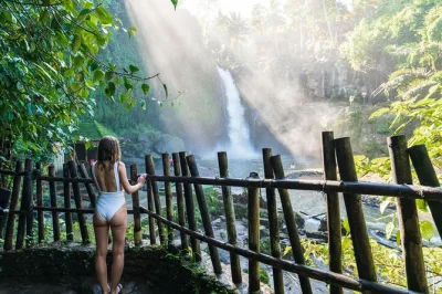 Ubud erleben: reisterrassen erkunden, im tegenungan-wasserfall schwimmen, makaken im monkey forest treffen. private tour mit abholung, mittagessen & lokalem guide.