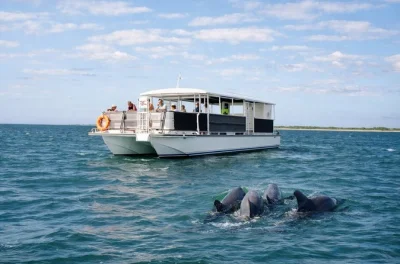 Feel the salt breeze on a panama city beach dolphin cruise, spot playful pods in the gulf, enjoy relaxed island vibes, and sip a cold drink—includes captain guide.