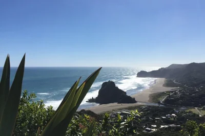 Descubre cráteres volcánicos, camina por la arena negra de piha, haz senderismo hasta las cascadas karekare y disfruta de vinos boutique en esta excursión de un día en auckland con guía local y r