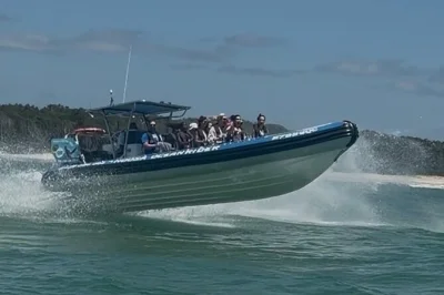 Vivi l’emozione di un safari delfini a noosa—sfreccia oltre le spiagge da surf, avvista delfini selvatici e naviga con un equipaggio locale. include attrezzatura di sicurezza e comfort in piccoli 