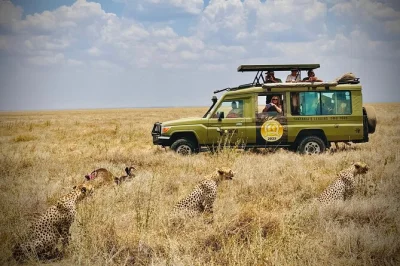 Wake up to lions’ roars, watch sunrise over serengeti plains, and descend into ngorongoro crater—all with a private guide, seamless transfers, and luxury camp stays.