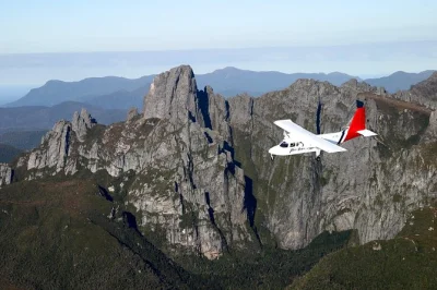 Feel the wild side of tasmania on a southwest fly-cruise day trip from hobart, with scenic flights, bathurst harbour cruise, local lunch & rare wildlife.