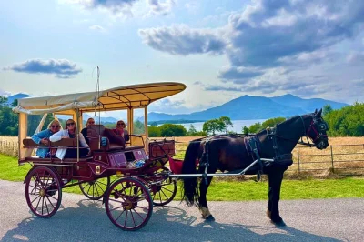 Feel the rhythm of killarney by jaunting car, ride through hidden park trails, explore muckross abbey, and gaze across the lakes. includes guide and covered carriage.