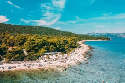 Erlebe die blue lagoon bei trogir, schnorchle im klaren wasser, genieße mittagessen unter kiefern und erkunde das ruhige maslinica auf Šolta. inkl. getränke, schnorchelausrüstung & abholung.