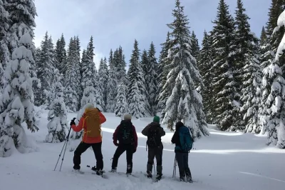 Easy snowshoeing from bansko to ortsevo in the rhodope mountains. private guide, family-friendly, rural views, and local traditions. book your spot now.