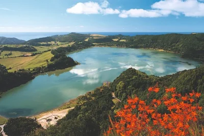 Descubre el volcán de furnas, prueba el cozido azoriano cocido bajo tierra, disfruta de las aguas minerales y visita la única fábrica de té de europa, con recogida incluida.