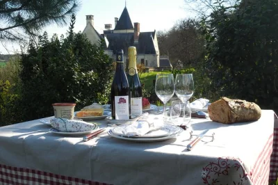 Feel the loire valley’s quiet charm with a vineyard walk, cellar tour, wine tasting, and private picnic lunch at château du petit thouars—includes wine & local guide.