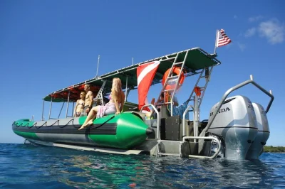 Swim with turtles, spot dolphins, and enjoy a locally catered lunch on this west maui snorkeling tour from ka'anapali beach. includes gear, snacks & shaded seating.