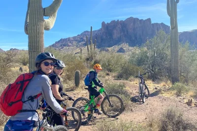 Feel the sonoran desert up close on a private 3-hour mountain bike tour from phoenix. includes bikes, gear, snacks, water, and a local guide who matches your pace.