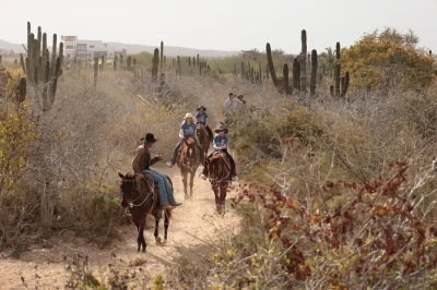 Vivi l’emozione di un giro a cavallo lungo le spiagge incontaminate, i sentieri desertici e le scogliere di cabo. include pick-up in hotel, snack e guida locale esperta.