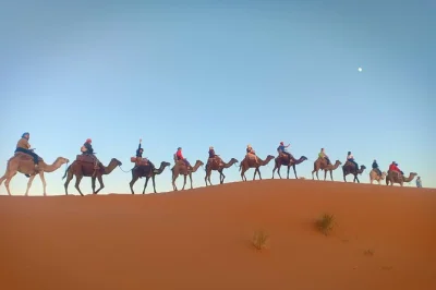 Partez de marrakech, traversez l’atlas, chevauchez des chameaux à merzouga et dormez sous les étoiles du sahara. transfert hôtel, tente privée et dîner au camp berbère inclus.