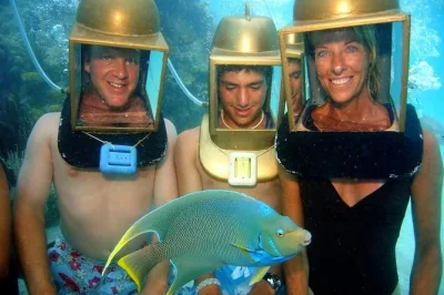 Step off the boat at bermuda’s dockyard, slip on a hartley helmet, and walk the sandy sea floor. meet “celebrity” fish, enjoy wetsuits if chilly, and optional photos.