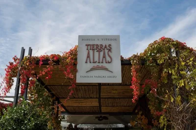 Descubre tierras altas en mendoza con un tour de malbec: pasea por viñedos, prueba vino directo de tanques y barricas, todo acompañado por un guía local.