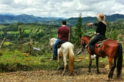 Breathe medellin’s fresh mountain air on a private horseback riding tour with local guides, hotel pickup, and horses matched to your experience level.