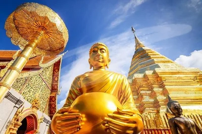 Explora los templos más emblemáticos de chiang mai con un guía privado. visita doi suthep, chedi luang y suan dok con total comodidad. accesible para sillas de ruedas. reserva tu excursión ahora.