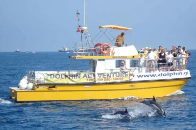 Watch wild dolphins in gibraltar bay, sail with a marine biologist, and learn from a local crew. includes guide and easy boarding for all ages.