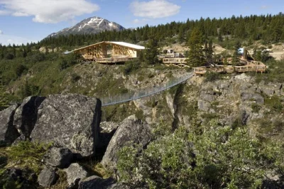 Feel the wild edge of alaska and canada on a skagway to yukon day trip—walk the yukon suspension bridge, see white pass, and get picked up right at your cruise ship.