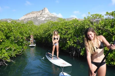 Feel the calm of curacao’s spanish water mangroves on a guided paddleboarding tour. includes beginner instruction, snack break, and free photos from your guide.
