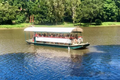 Disfruta un tranquilo paseo por el río barron en kuranda, observa cocodrilos y aves, y escucha las historias de un guía local. cinco salidas diarias, 45 minutos de recorrido con narración en vivo.