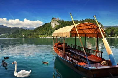 Découvrez le lac de bled aux eaux émeraude, embarquez en pletna, grimpez au château de bled et savourez le célèbre gâteau à la crème. prise en charge à ljubljana et guide local inclus.