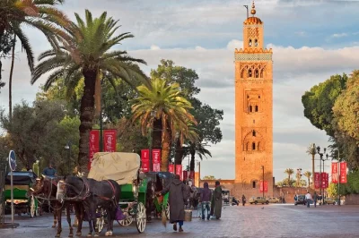 Von casablanca direkt in die lebhafte medina von marrakesch eintauchen, kamelreiten in den palmenhainen, streetfood probieren und mit einem lokalen guide die souks erkunden. inkl. abholung & wasserfla