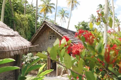 Entra nella tenuta morne coubaril a st. lucia per un tour pratico del xviii secolo con degustazione di cocco, dimostrazioni di fave di cacao e un mulino per canna da zucchero ancora funzionante.