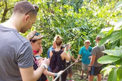 Smell roasting coffee, taste fresh chocolate, and walk lush trails at don jorge’s farm in alajuela. includes hands-on chocolate workshop and waterfall stop.