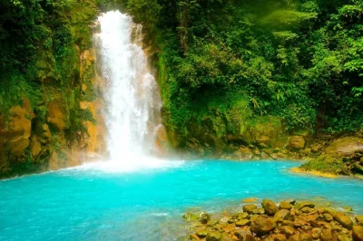 Scopri la cascata llanos de cortes, cammina lungo il fiume blu rio celeste e incontra i bradipi in un santuario rurale, con pranzo e trasferimento dall’hotel inclusi.