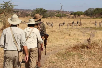 Vivi un safari in lodge di 2 giorni in tanzania tra il cratere di ngorongoro e il lago manyara. jeep privata 4x4, avvistamenti di animali e guide locali incluse.
