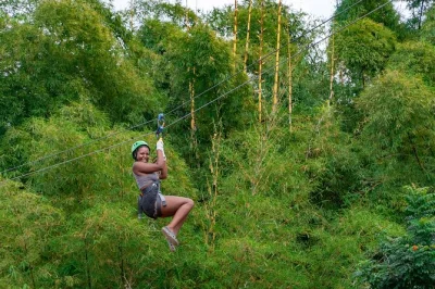 Bounce from horseback trails to bamboo ziplining and atv rides in negril’s countryside, with a local guide and all entry fees included—easy pickup, all fun.