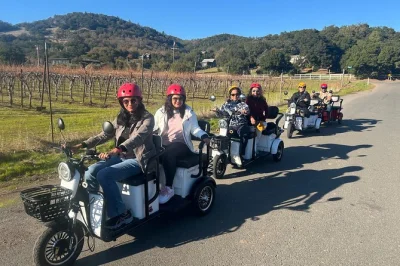 Feel the breeze on an electric trike through sonoma wine country, with stops for local cheese, historic sites, and optional wine tasting. includes guide & snacks.