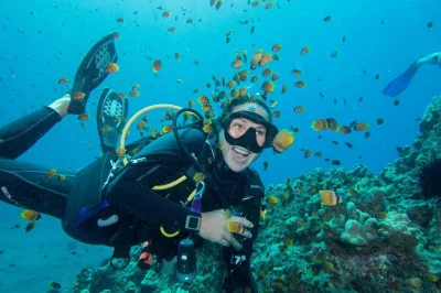 Feel the first rush of scuba diving in maui with a small group, guided shore dive, and all equipment included. flexible lesson times and local guidance for beginners.