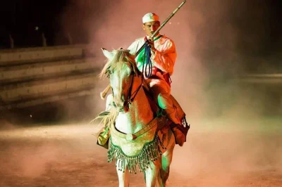 Vivez un véritable spectacle berbère à agadir avec dîner, musique live et cavaliers de fantasia. réservez votre soirée folklore marocain pour une nuit inoubliable.