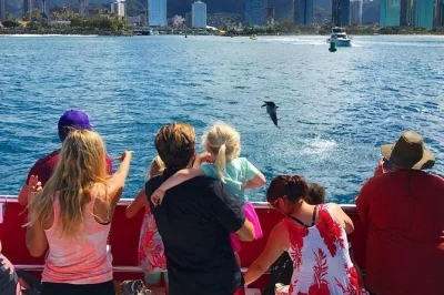 Watch sea turtles glide beneath you, spot tropical fish and shipwrecks off waikiki beach, and relax under the canopy—includes bottled water and crew photos.