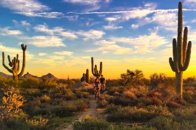 Erlebe die sonoran-wüste arizonas auf einer geführten e-bike-tour mit insiderwissen, panorama-pausen und kompletter ausrüstung für dein abenteuer.