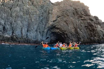 Scopri tenerife in kayak da los cristianos, avvista delfini e tartarughe, fai snorkeling in acque cristalline ed esplora la cueva del palma—foto incluse e tutta l’attrezzatura fornita.