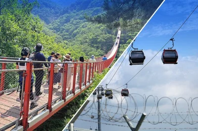 Step into korea’s tense borderlands on a dmz day trip from seoul. walk the 3rd tunnel, see north korea from dora observatory, and choose a gondola or bridge crossing. includes transfers.
