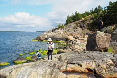 Hear the baltic breeze, taste a finnish lunch by the sea, and wander peaceful porkkala forests on this helsinki day trip with pickup, local guide, and seasonal gear.