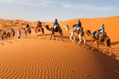 Experience a 3 day sahara desert tour from marrakech. camel ride, luxury camp in merzouga, visit ait ben haddou & dades gorges. book your adventure now.