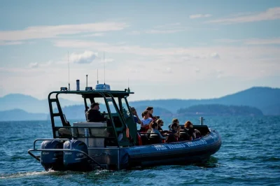 Découvrez l’air marin lors d’une sortie d’observation des baleines à vancouver avec un guide biologiste marin, des rencontres d’orques sauvages et des petits groupes intimes. crème solaire 