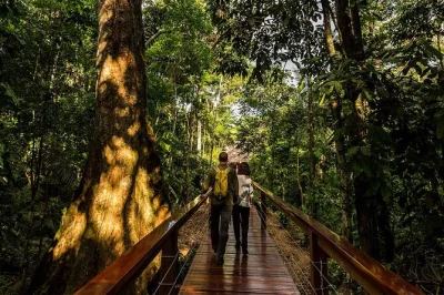 Experience tambopata national reserve in 4 days—zipline, meet monkeys, visit sandoval lake, and see parrots at clay licks. includes all fees & local guides.