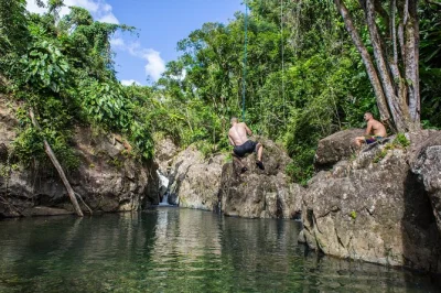 Feel the wild side of puerto rico hiking el yunque, swimming in waterfalls, and paddling a glowing kayak through laguna grande’s bioluminescent bay—includes pickup.