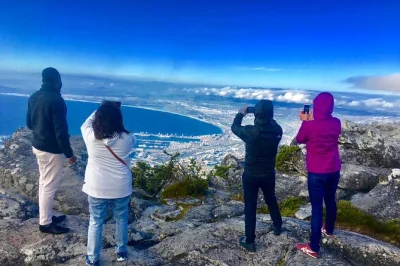 Descubre table mountain, los pingüinos de boulders beach y el cabo de buena esperanza en un tour privado por ciudad del cabo. todo incluido. reserva tu aventura de día completo.