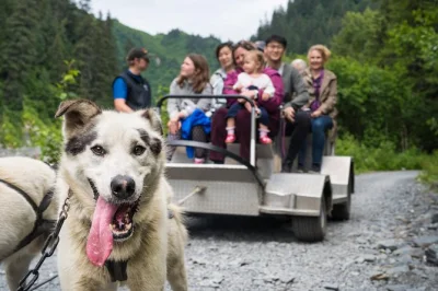 Siente la emoción de un paseo en trineo en seward, conoce cachorros de husky y recorre un criadero de perros de carrera con guías locales. incluye transporte ida y vuelta y bebidas calientes.