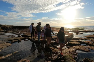 Wade through san diego’s tide pools with a marine biologist, hear ocean stories, spot tiny sea creatures, and get photos included. includes safety talk and local guide.