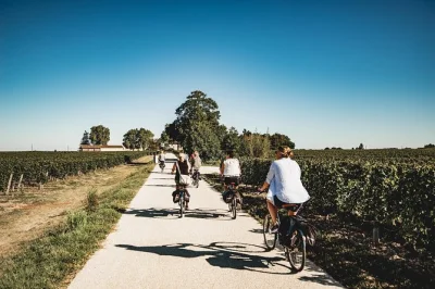 Cycle through saint-emilion’s vineyards by e-bike, taste local wines at two chateaux, and enjoy a picnic lunch in the vines. includes guide, tastings, and gear.